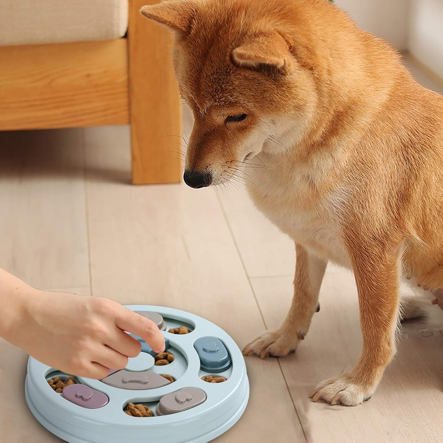 DR CATCH Dog Puzzle – Interactive Food Toy for IQ Training & Mental Enrichment (Blue)